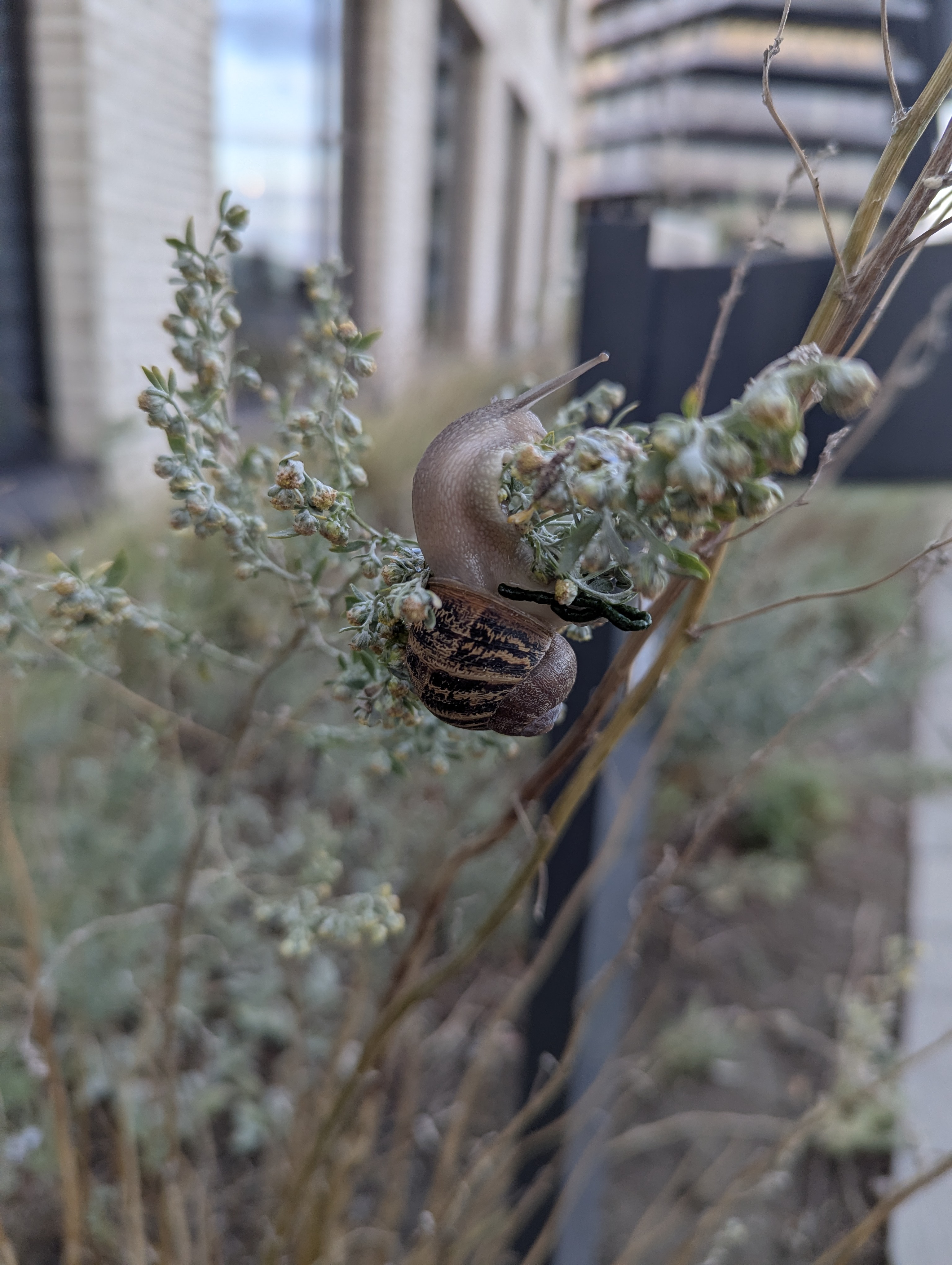 Copenhagen, Scandic Hotel